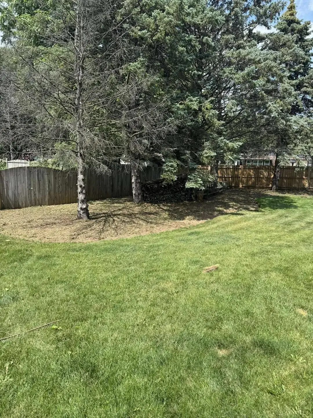 Grass Seeding