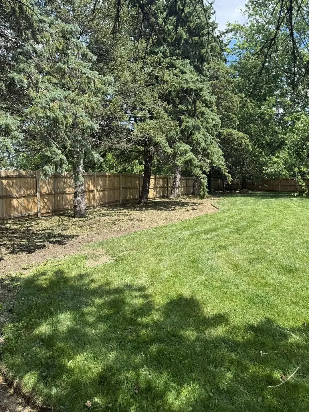 Completed backyard cleanup and groundskeeping project
