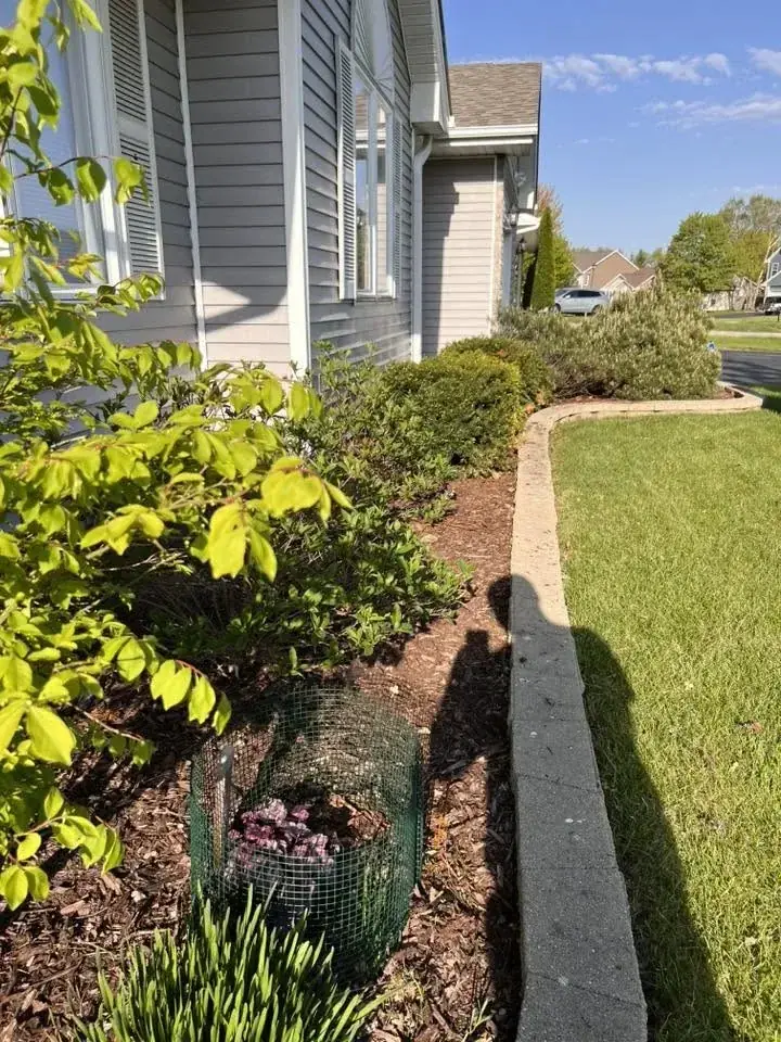 Fresh mulch and clean landscape edging beside a residential home