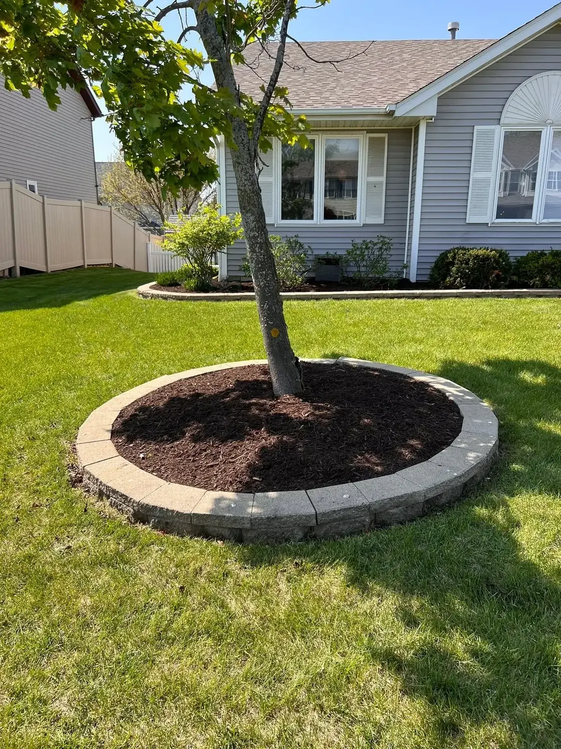 Freshly mulched tree ring with stone edging